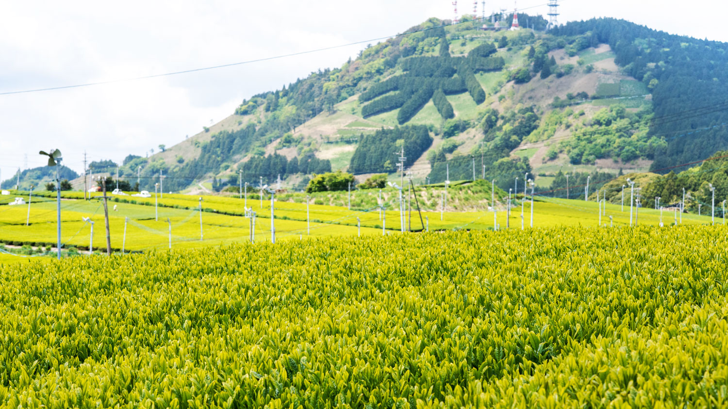 掛川市イメージ